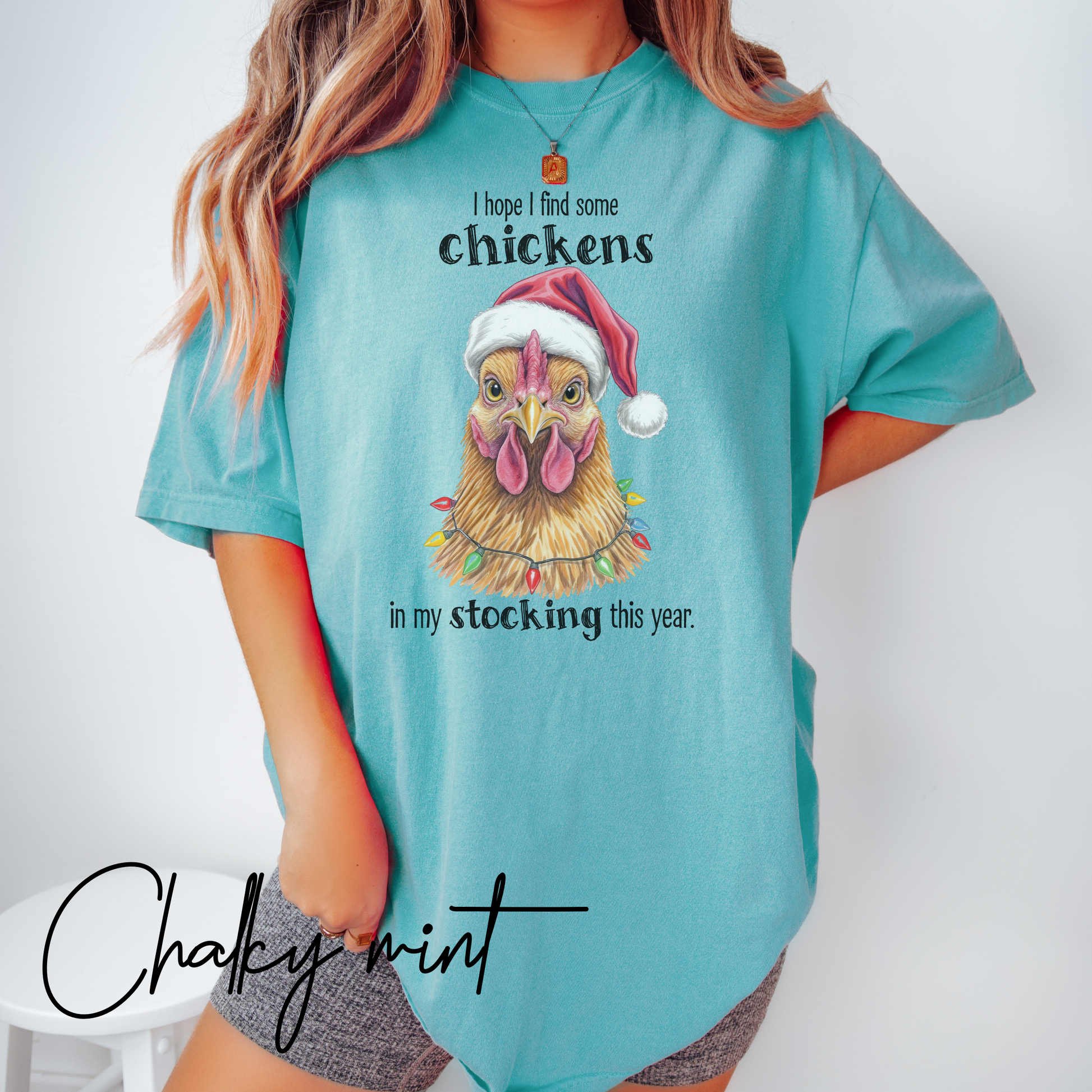 I Hope I Find Chickens in My Stocking Holiday Farm Graphic Tee