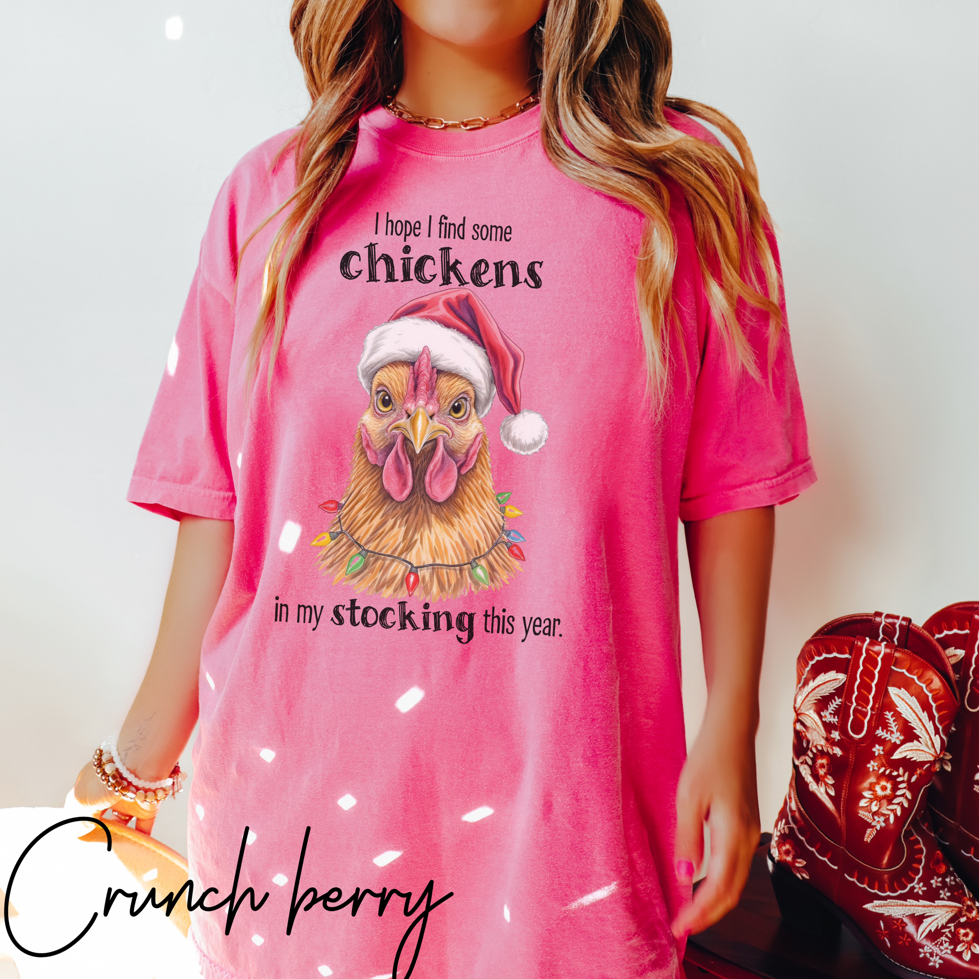 I Hope I Find Chickens in My Stocking Holiday Farm Graphic Tee